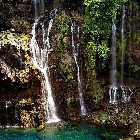 Le Gecko Vert Manapany-les Bains المظهر الخارجي الصورة