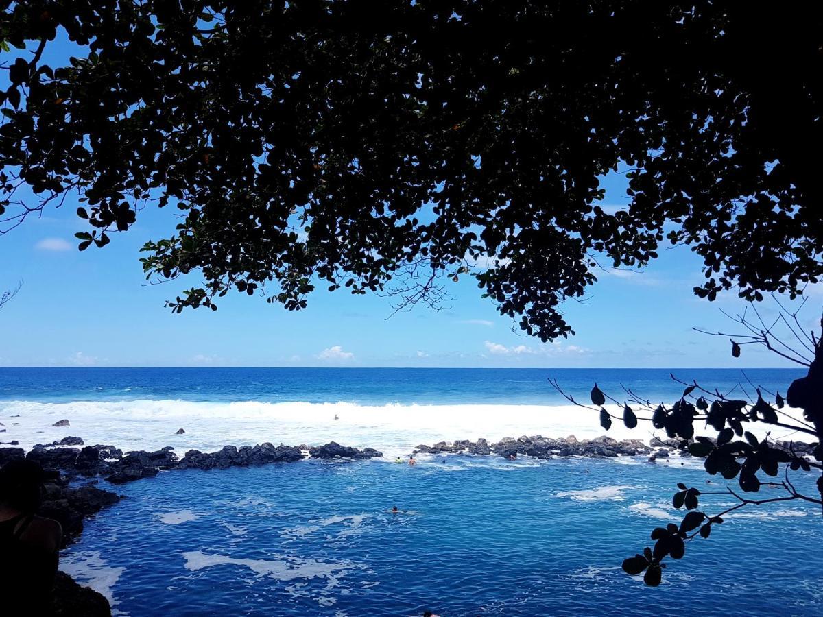 Le Gecko Vert Manapany-les Bains المظهر الخارجي الصورة
